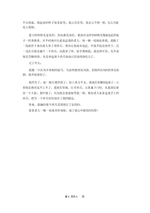我心中最美的风景作文