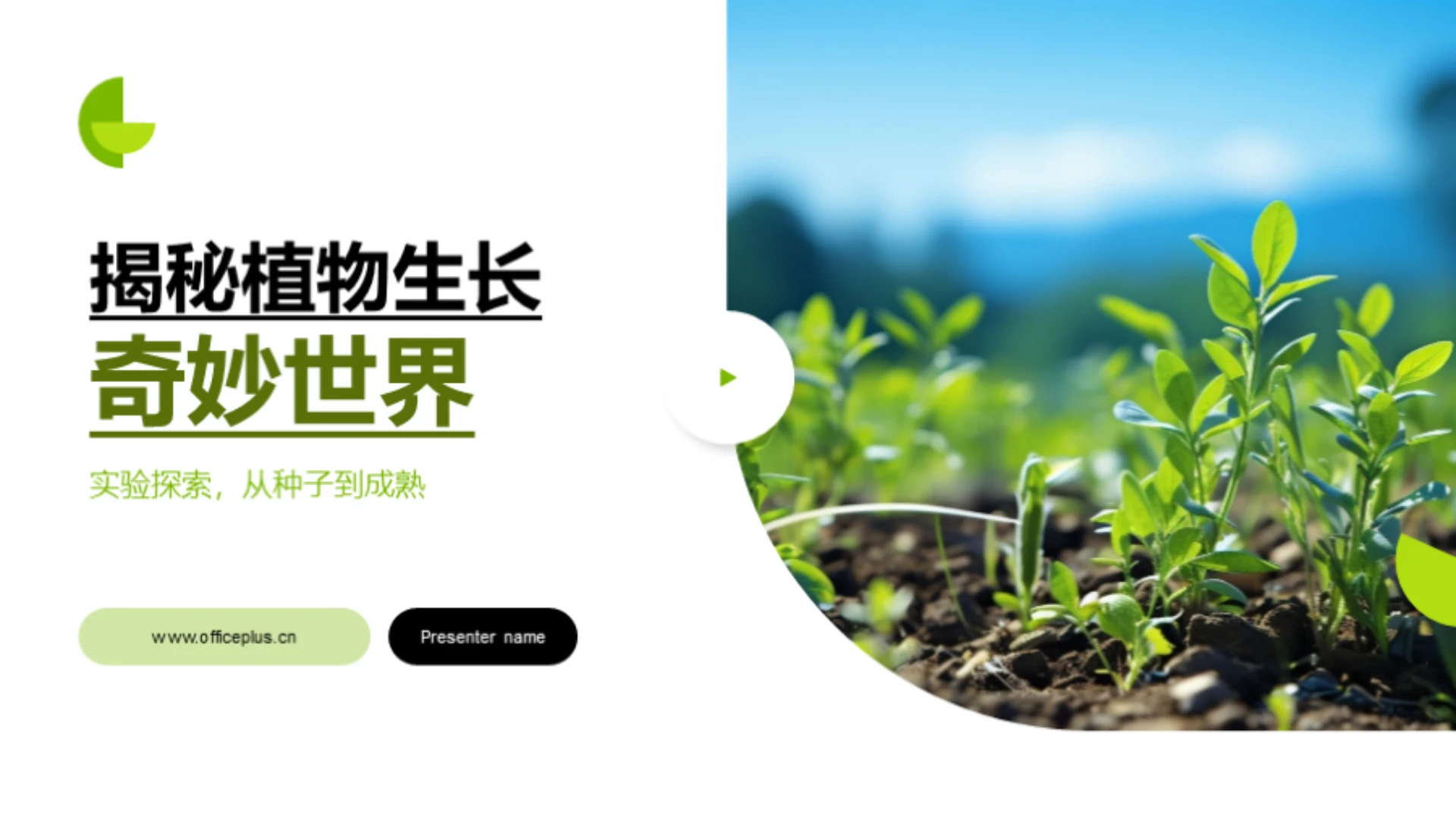 揭秘植物生长奇妙世界