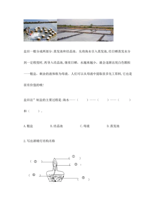 教科版三年级上册科学《期末测试卷》精品（基础题）.docx