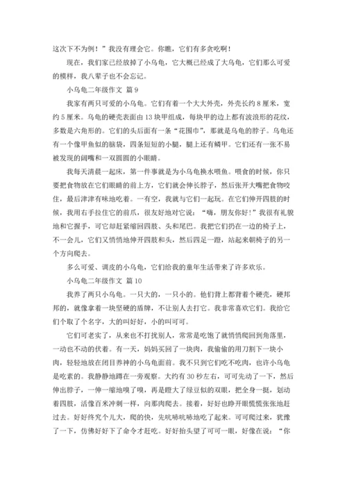有关小乌龟二年级作文锦集10篇.docx