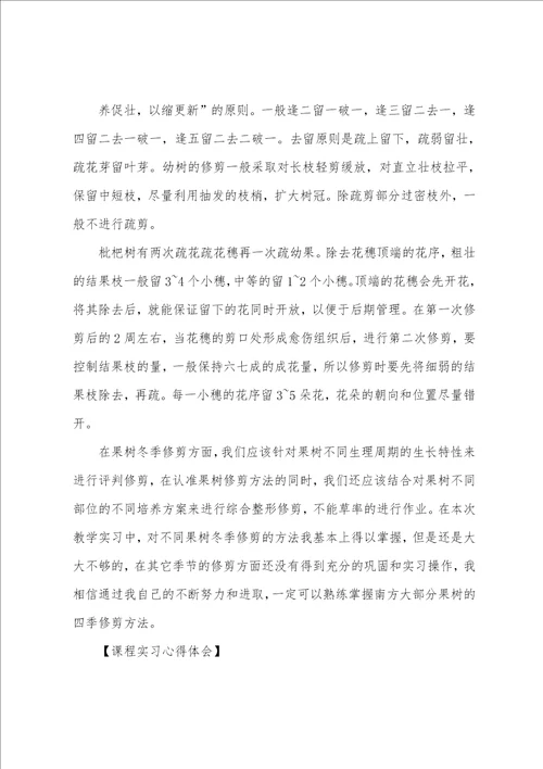 课程实习心得体会