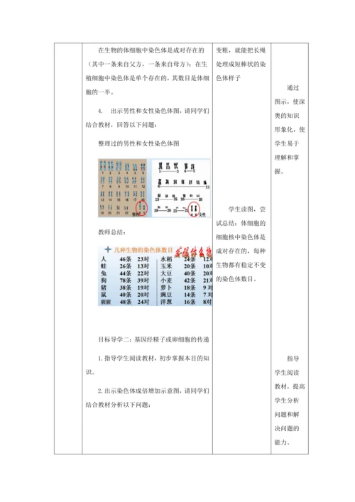 人教版八年级生物下册第七单元第二章第二节基因在亲子代间的传递教案（表格式）