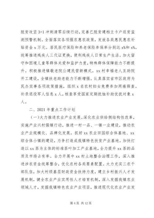 乡镇某年总结及明年规划.docx