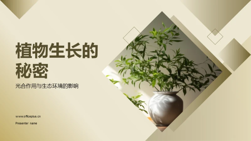 植物生长的秘密