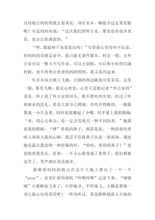 别样的美作文.docx