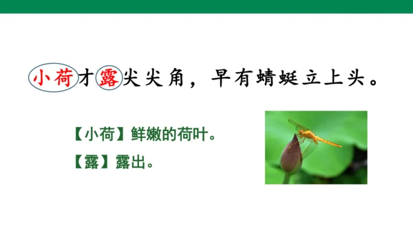 11古诗二首 小池  课件