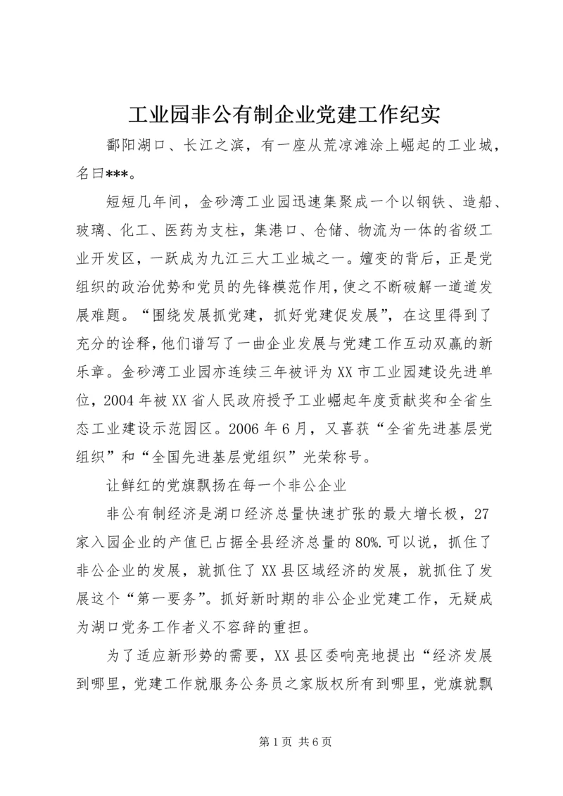 工业园非公有制企业党建工作纪实.docx