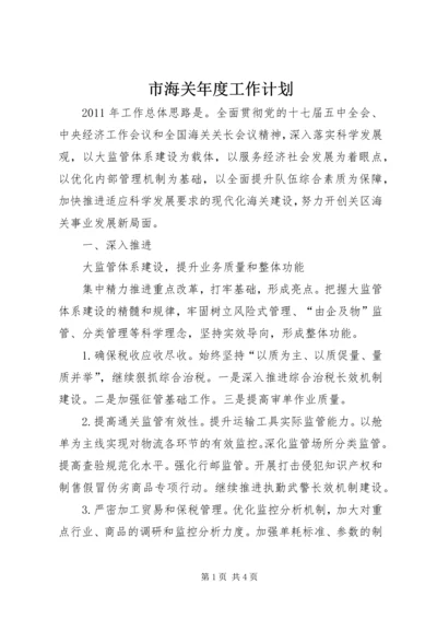 市海关年度工作计划 (2).docx