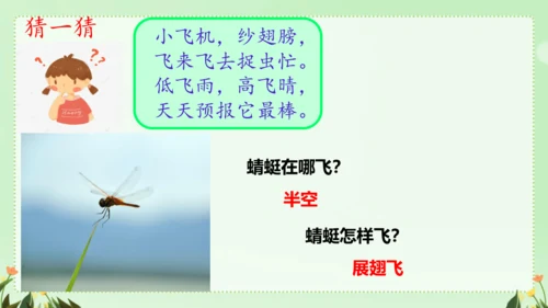 识字（二）5动物儿歌（课件）