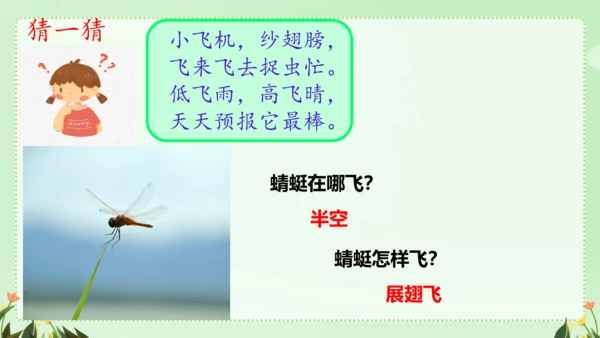 识字（二）5动物儿歌（课件）