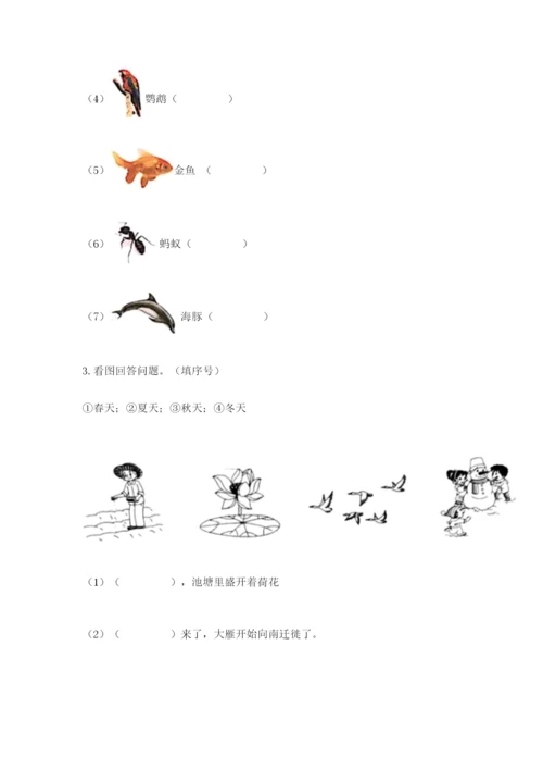 教科版二年级上册科学期末测试卷带答案（达标题）.docx