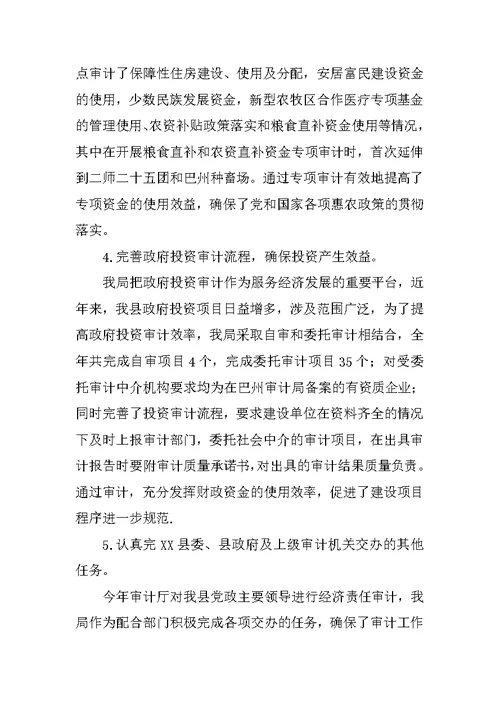 乡镇审计局年度工作总结及工作安排