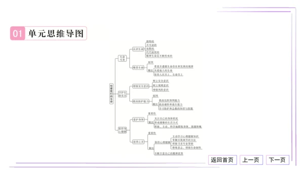 16 第三单元 珍爱我们的生命（单元总结与高频考点演练）【统编2024版七上道法期末专题复习】课件(