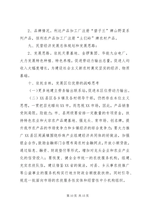 乡镇调研报告范例.docx