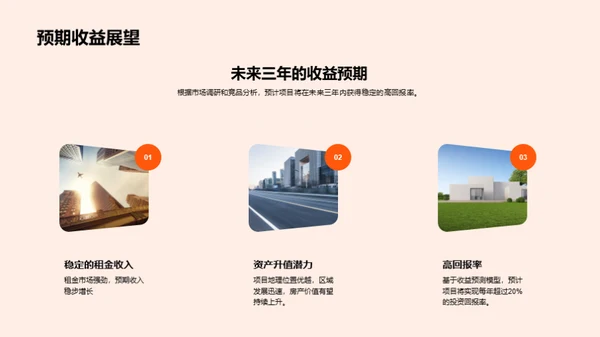 项目投资策略解析