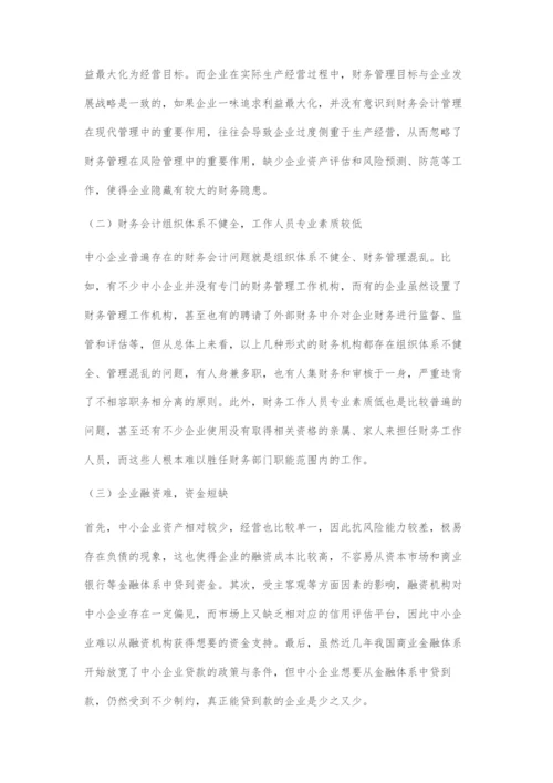 中小企业财务会计的管理问题及对策.docx