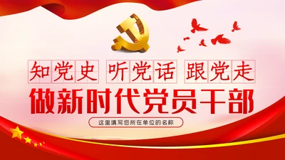 知党史听党话跟党走做新时代合格党员干部