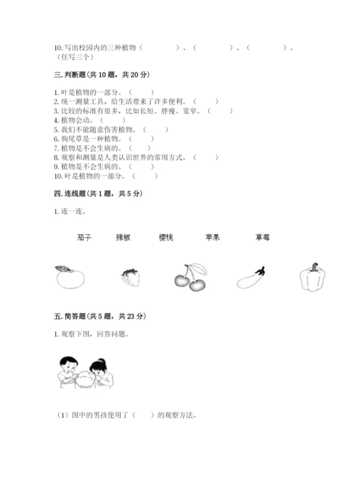 教科版一年级上册科学期末测试卷含答案（新）.docx