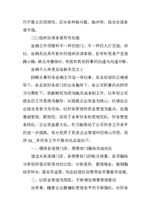出纳个人年度总结报告范文