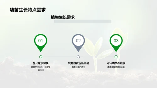 揭秘植物生长