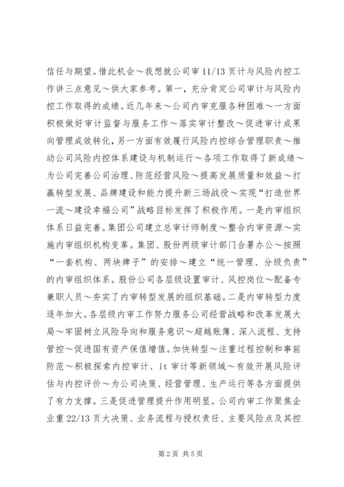 内审分管领导讲话(精) (3).docx