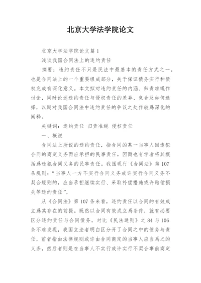 北京大学法学院论文.docx