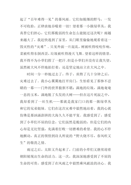 我深深的感受到了作文.docx