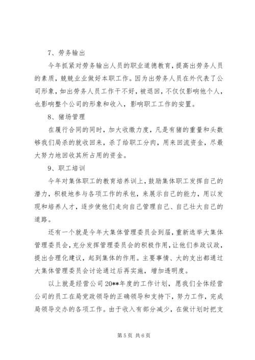 新的一年的公司工作计划.docx