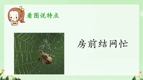 识字（二）5动物儿歌（课件）
