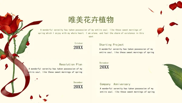红色玫瑰唯美花卉ppt模板