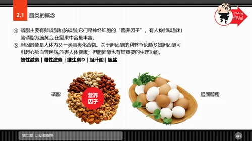 运动营养学通用PPT模板