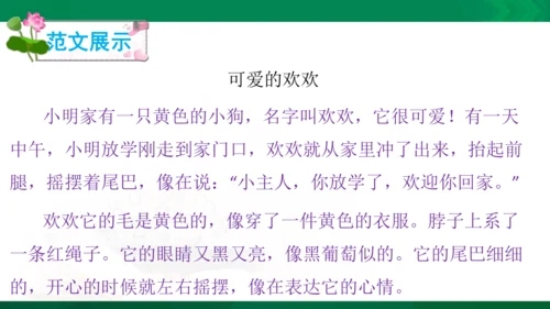 部编版二年级语文看图写话写动物课件