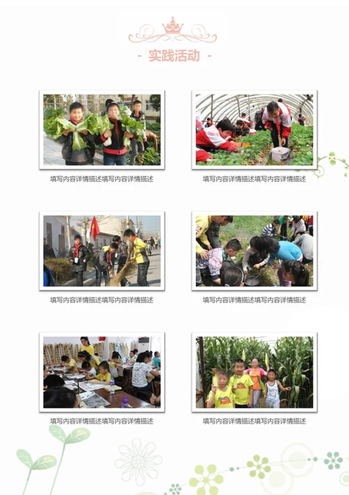 小升初社会实践小明星简历