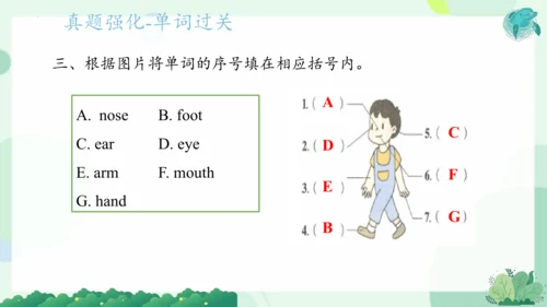 Module 10（复习课件）-2023-2024学年三年级英语上册期末核心考点集训（外研版三起）(