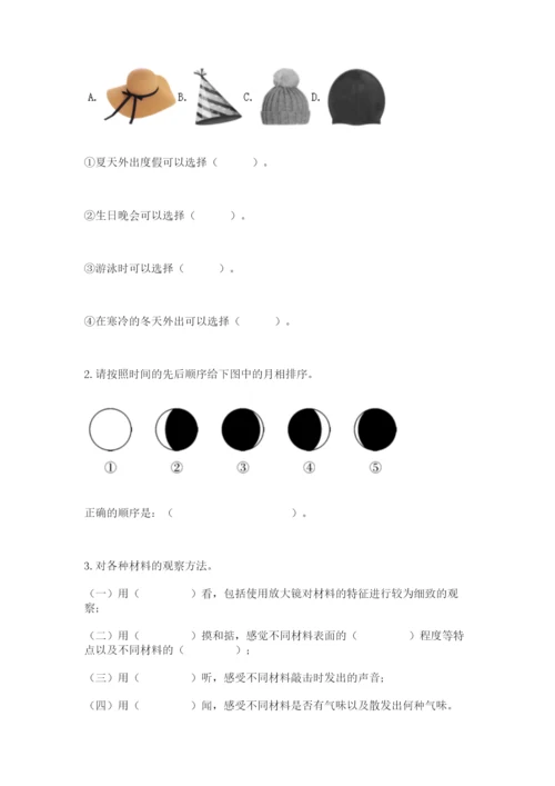 教科版科学二年级上册期末测试卷【研优卷】.docx