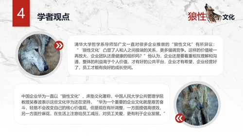 团队企业文化狼性文化员工培训PPT