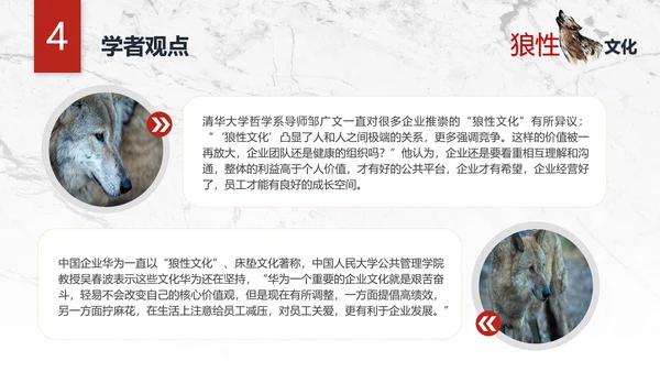 团队企业文化狼性文化员工培训PPT