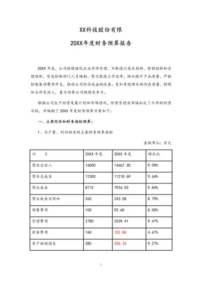 12-年度财务预算报告.docx