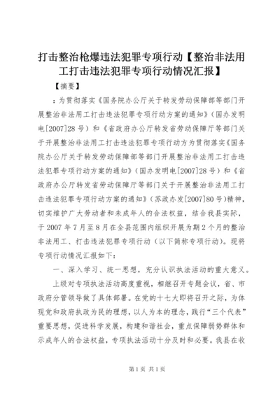 打击整治枪爆违法犯罪专项行动【整治非法用工打击违法犯罪专项行动情况汇报】.docx