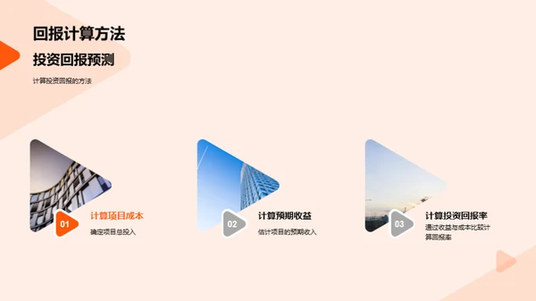 项目投资策略解析