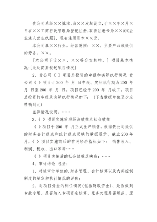 项目专项审计报告_1.docx