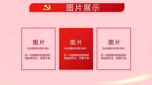 红色党支部党员代表大会工作总结PPT