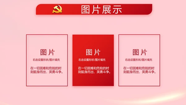 红色党支部党员代表大会工作总结PPT