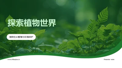 探索植物世界