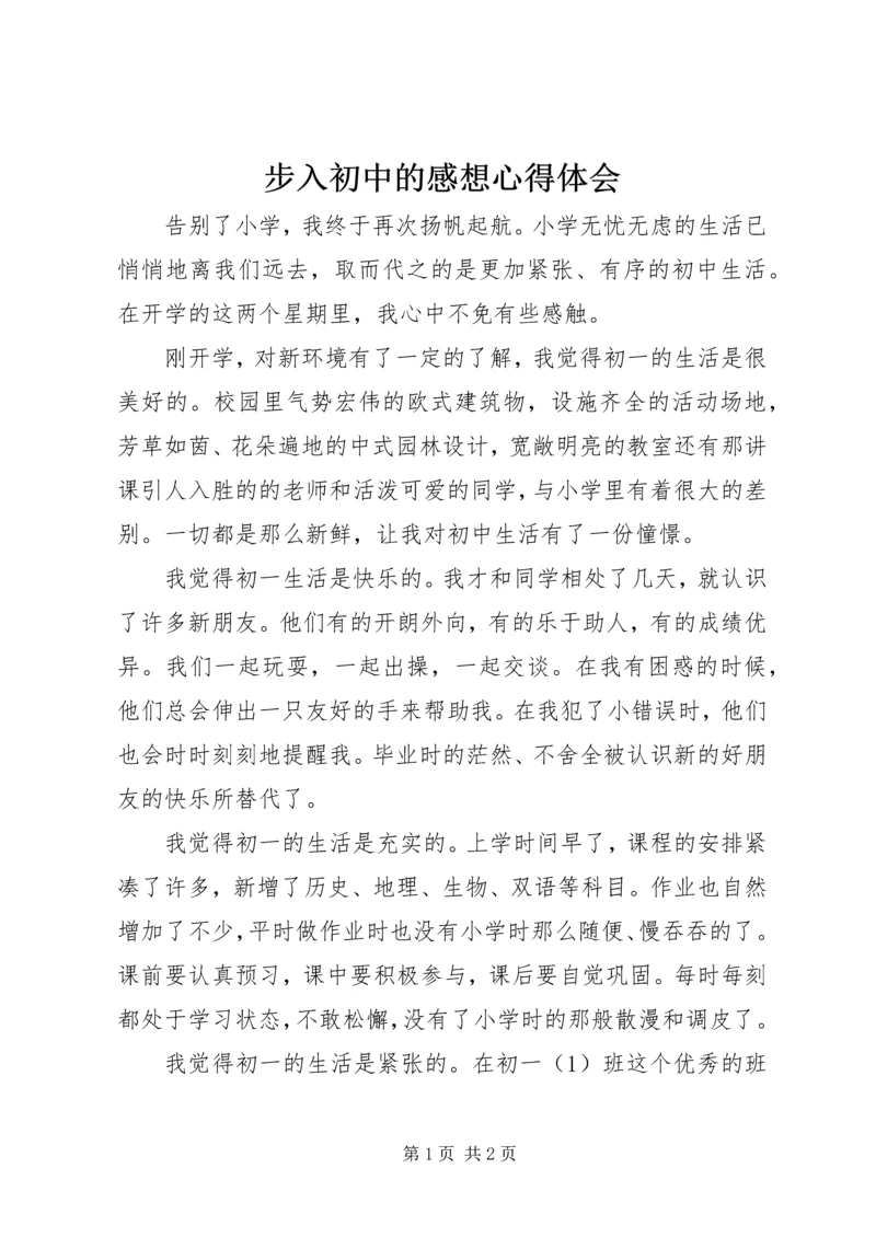 步入初中的感想心得体会.docx