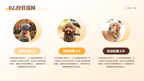 宠物代养宠物寄存商业计划书模板