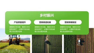 乡村振兴-乡村振兴PPT