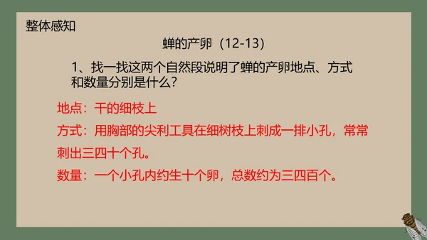 八年级下册蝉课件PPT模板