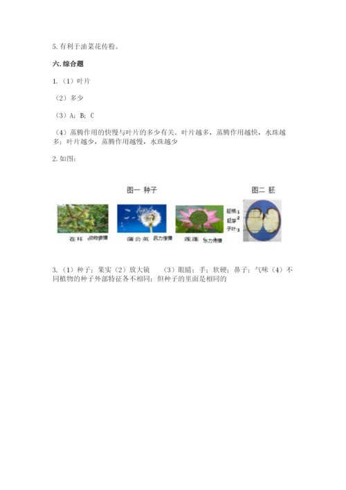 教科版科学四年级下册第一单元《植物的生长变化》测试卷精品【实用】.docx