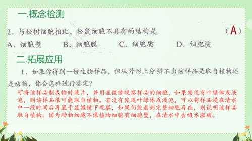 人教版（2024）七年级上册1.2.3 动物细胞 课件(共26张PPT)